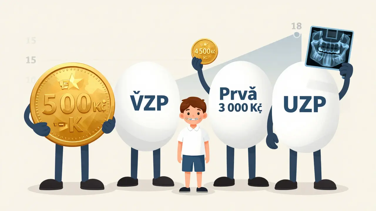 Symbolické obrazy čtyř českých zdravotních pojišťoven s různými částkami příspěvků na rovnátka.